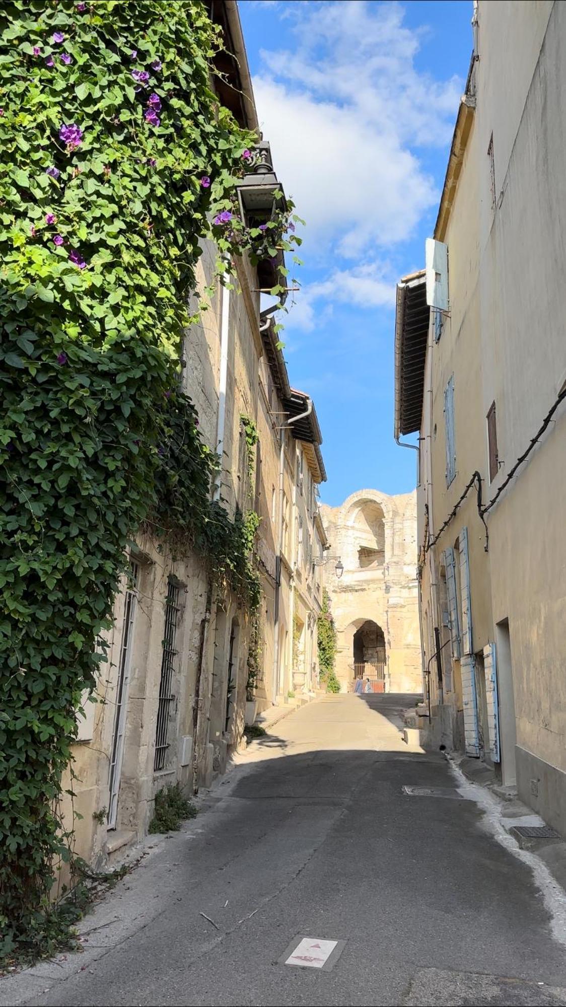 La Maison Des Hautures آرْلْ المظهر الخارجي الصورة